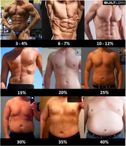body fat percentage men